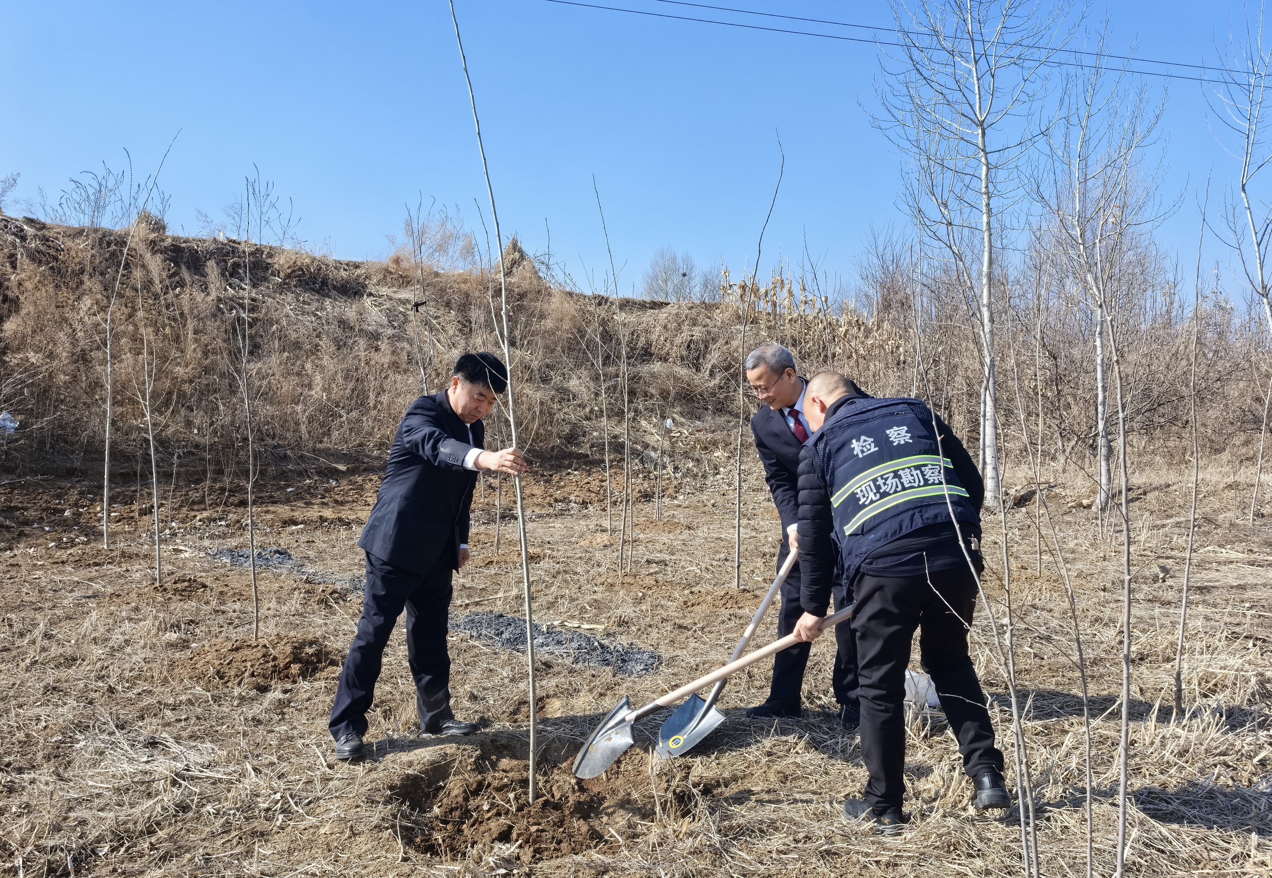 滥伐林木损生态 “补植复绿”护青山海城市人民检察院公益诉讼督促补植公益林